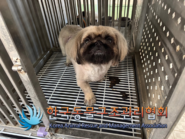 한국동물구조관리협회_441382202400784